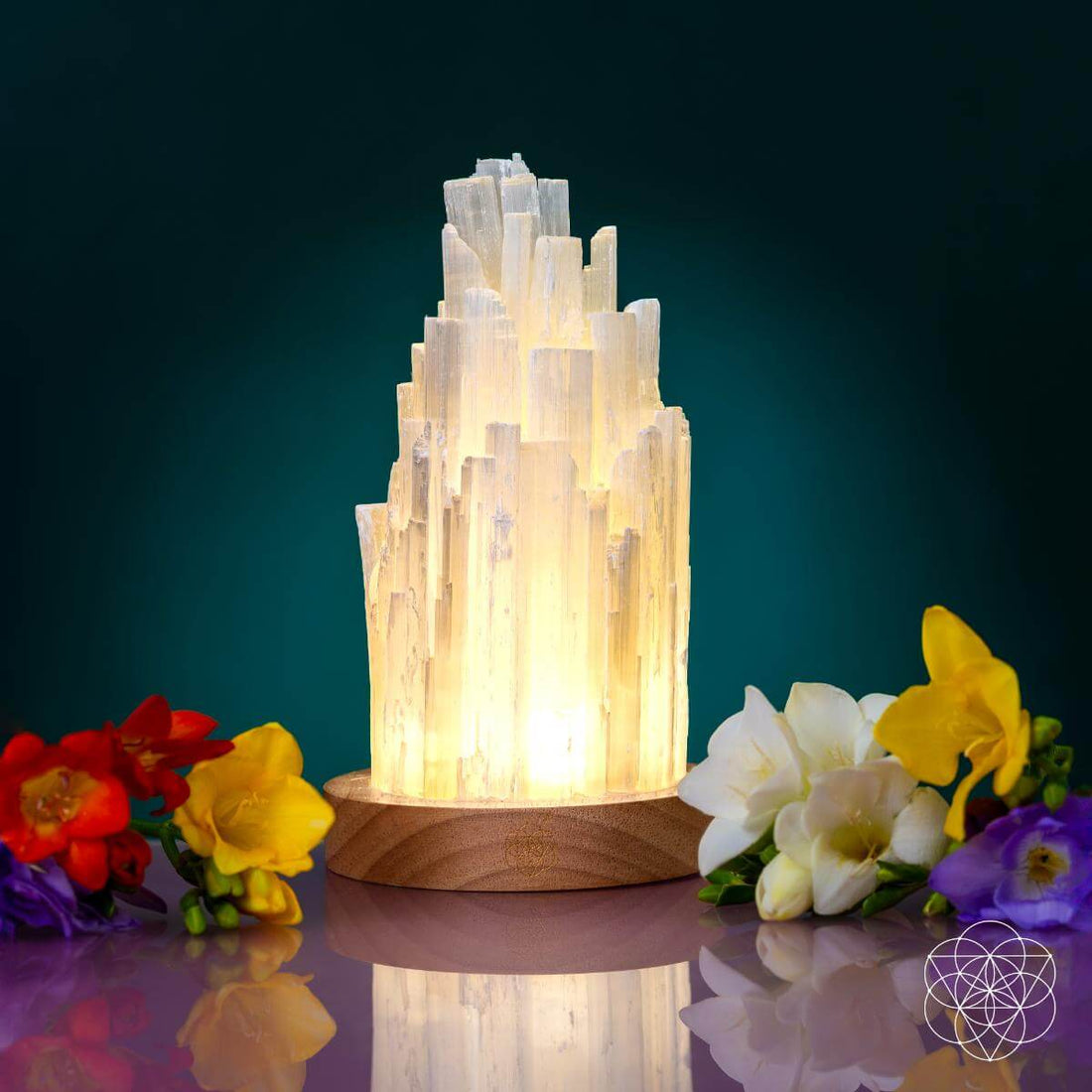 Natural Selenite Accent Lamp