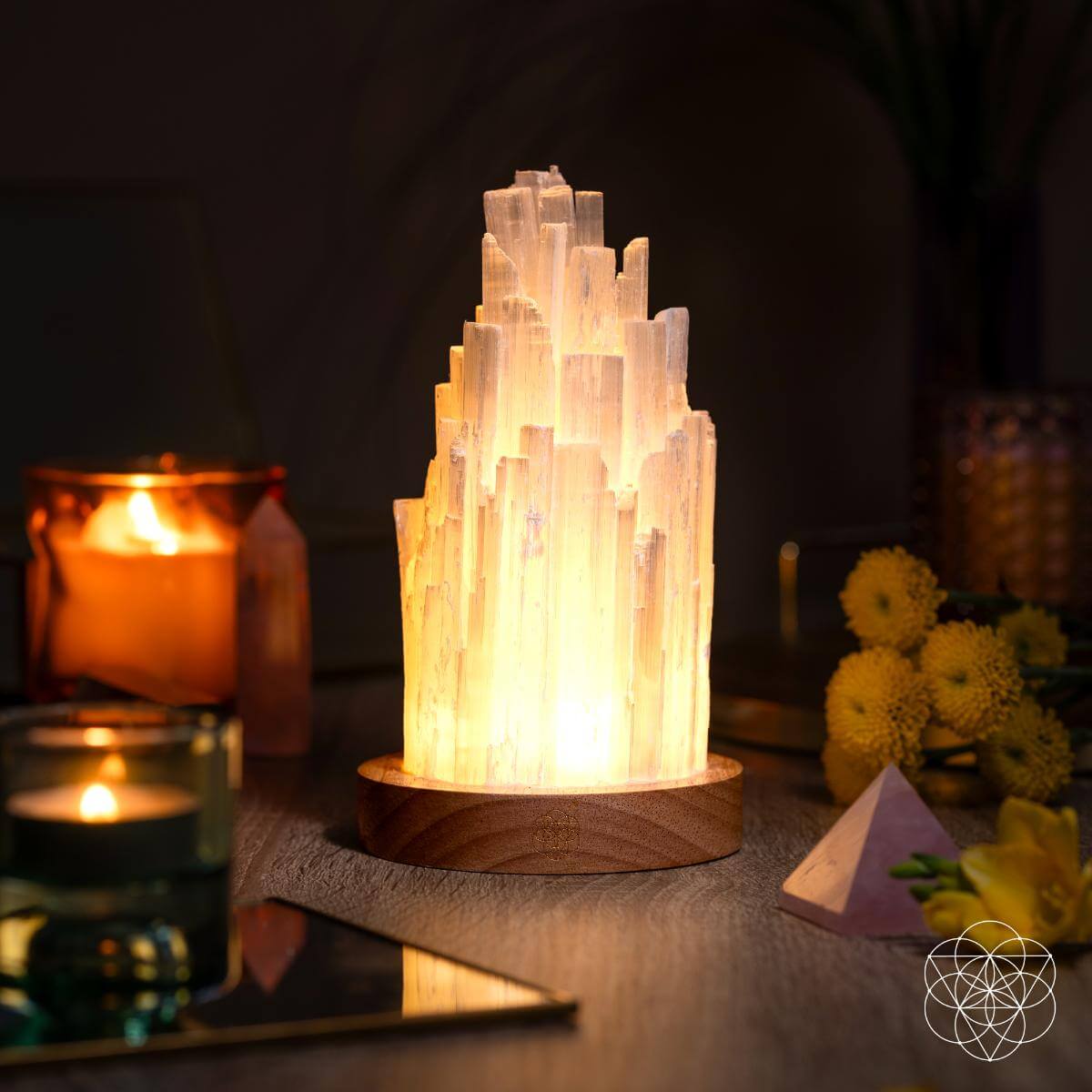 Natural Selenite Accent Lamp