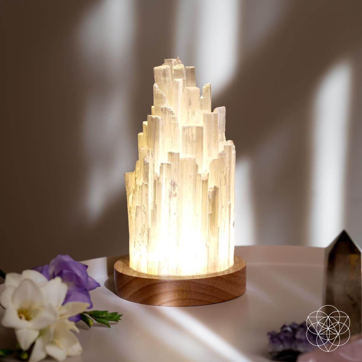 Natural Selenite Accent Lamp