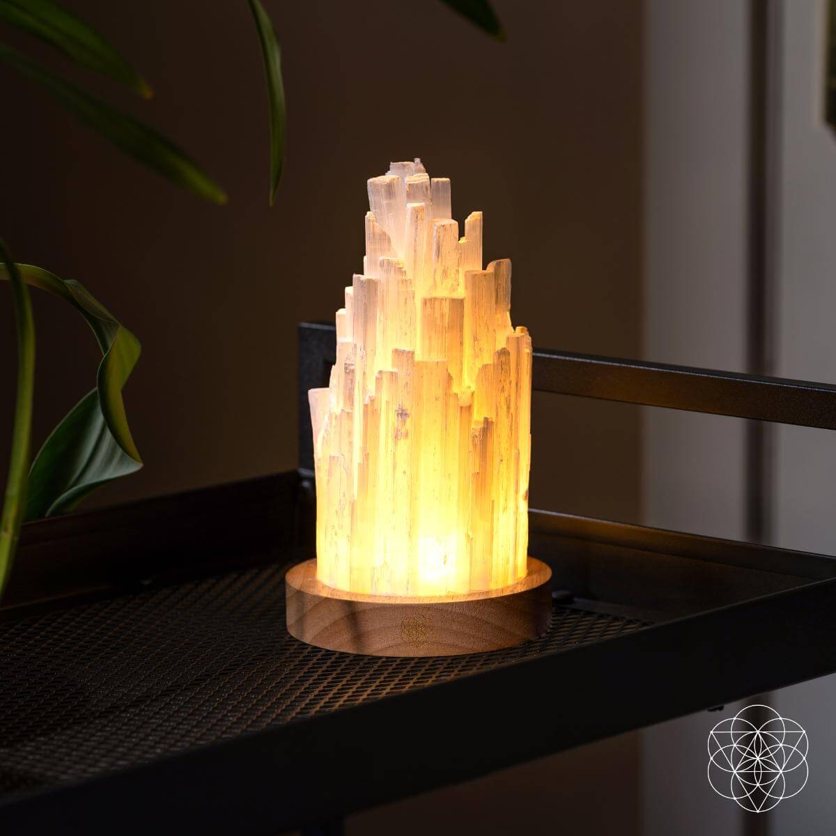Natural Selenite Accent Lamp