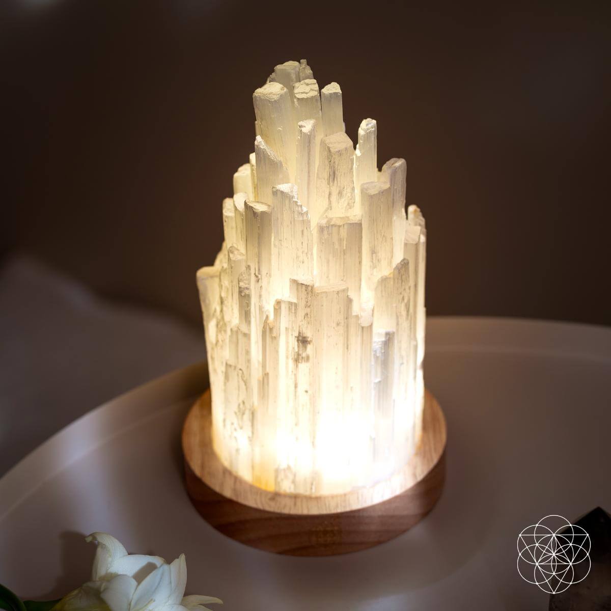 Natural Selenite Accent Lamp